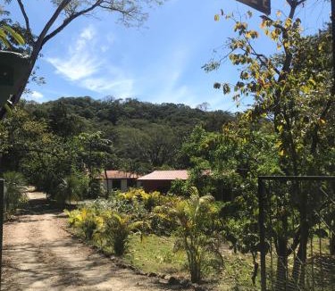 Samara House | Villas jungle 5