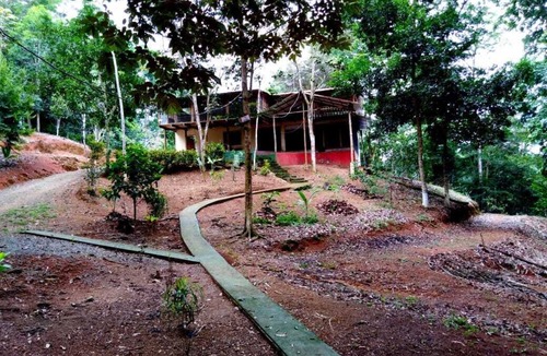 Platanillo House | Waterfalls House inside in the Rains Forest