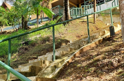 Palma Cabin | Willy's Fish Camp, Hillside, Ocean View rooms, walk to markets, trails, beaches