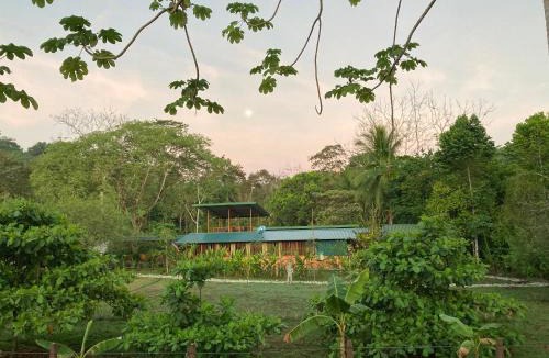 Puerto Jimenez House | YEJOS Jungle Lodge