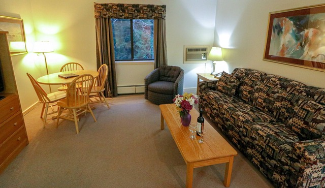 114 Efficiency with Sleeper Sofa only