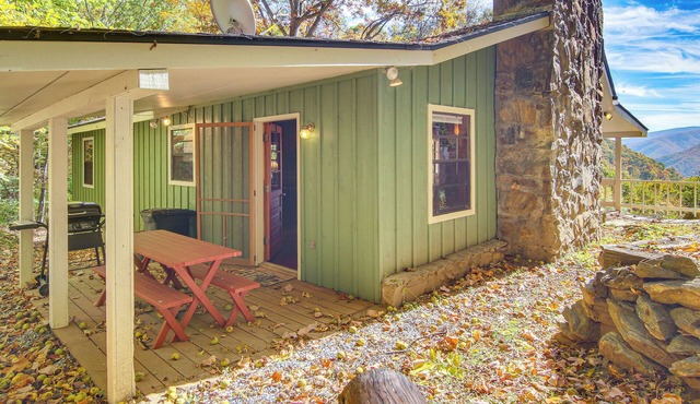 Beautiful Cold Mountain Views! Canton Cabin