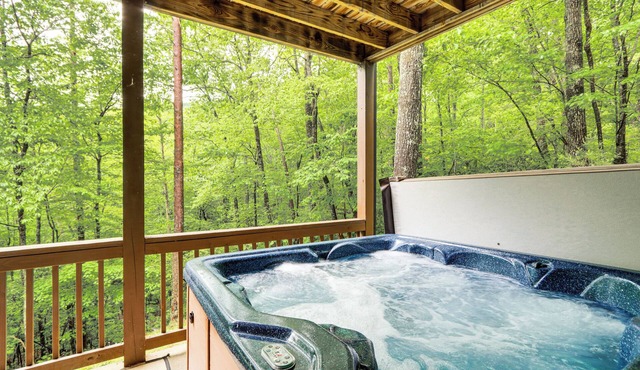 Ellijay Mtn Cabin w/Hot Tub & Community Perks