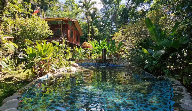 Experiencia única Bosque Tropical La Fortuna