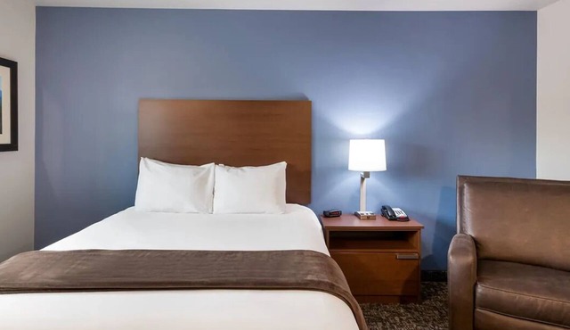 Fully-Equipped Kitchen & Pet Welcome in Relaxing Room at Meridian