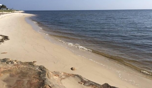 Grouper Therapy Beach Rental