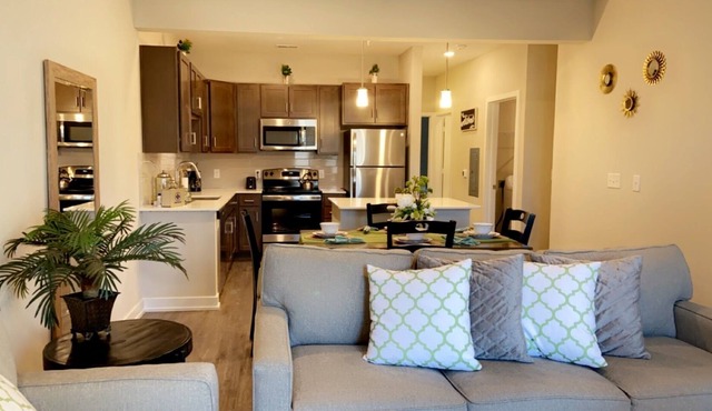 Luxury apartment 10 mins from downtown free groceries