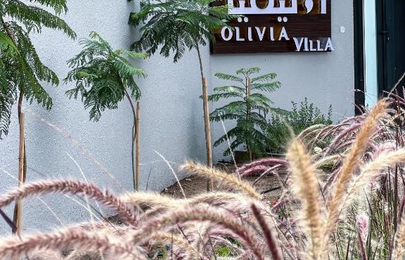 Olivia Chalet فلة أوليفيا