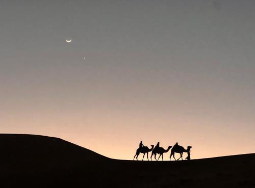 Private Bedouin Tent Al Badri