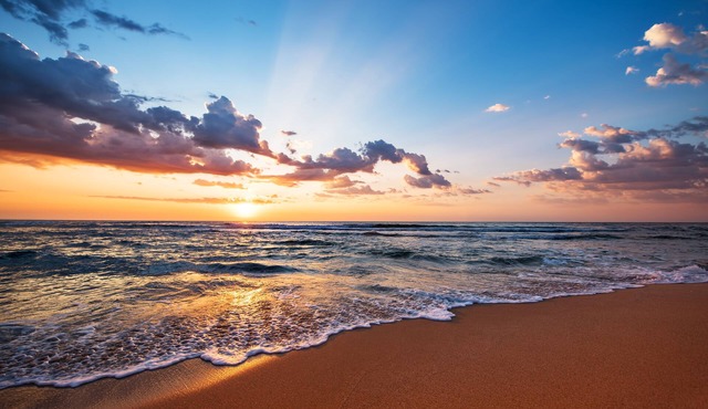 Ras Al Jinz Turtle Reserve