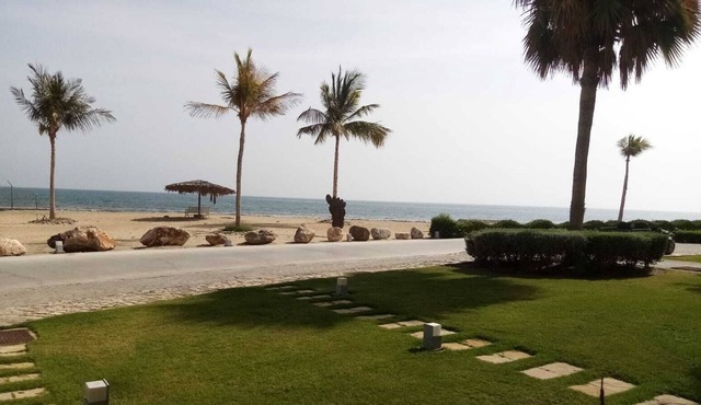 Sun, Sea, and Tranquillity