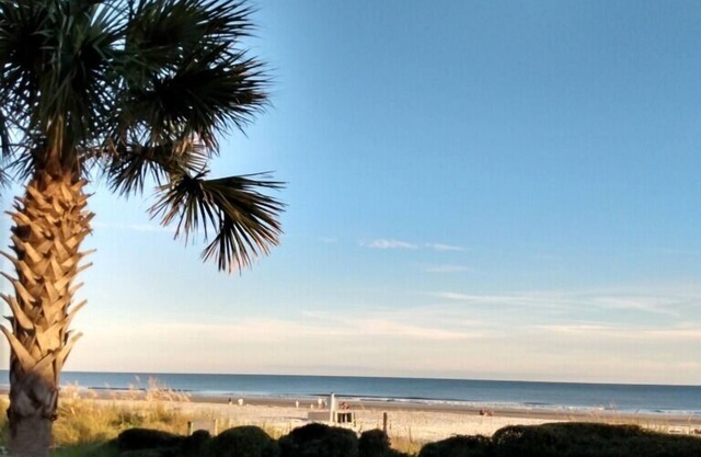 Ocean Club Hilton Head Island 
