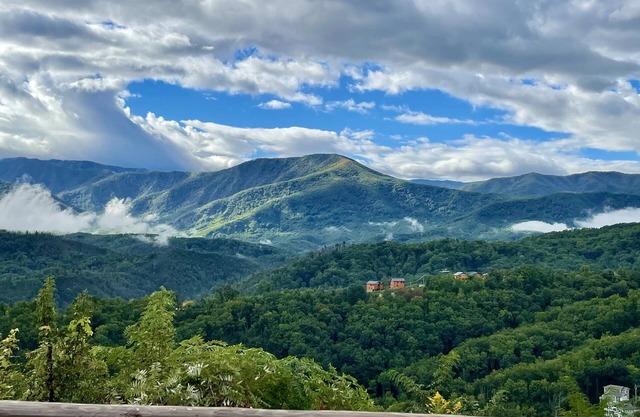 MT VIEW, HOT TUB, GAME ROOM, THEATER, GREAT LOCATION!