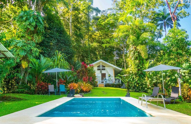 Ocean Property The Jungle At Beach 
