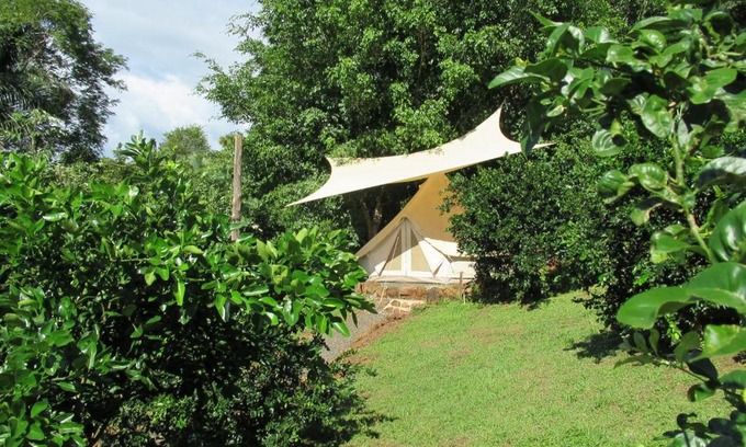 San Francisco de Coyote Hostel | Alouatta Playa Coyote