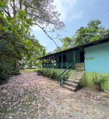 Cahuita Hostel | Casa Mamré