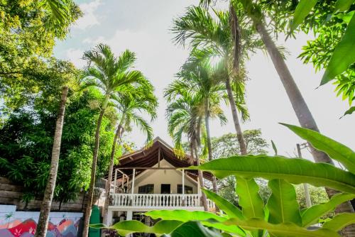 Tamarindo Hostel | Mai Ke Kai Surf House
