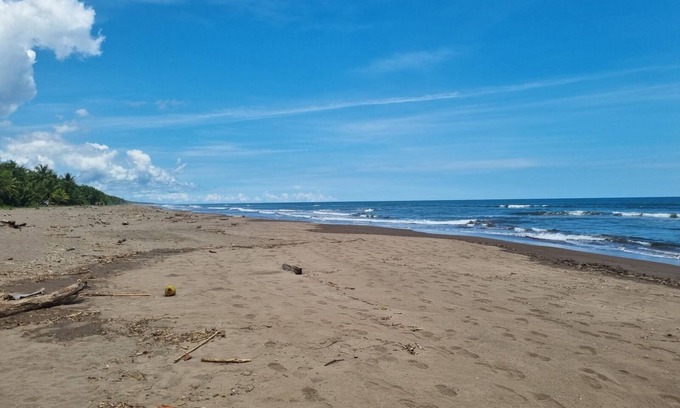 Tortuguero Hostel | Miss Miriam Beachfront Cabins