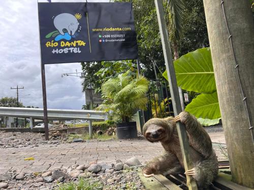 La Fortuna Hostel | Rio Danta