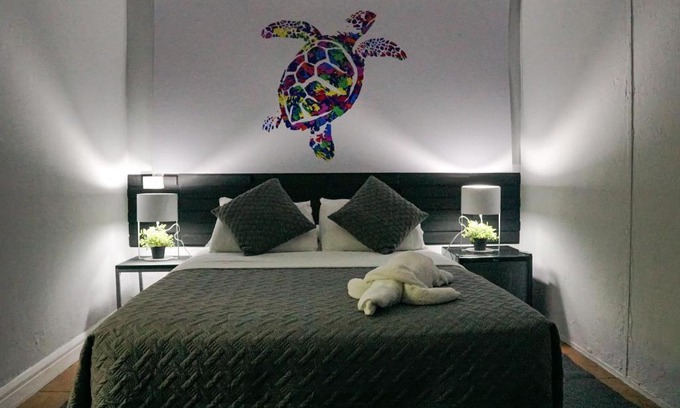 Barrio Dent Hostel | Turtle Saving Hostel