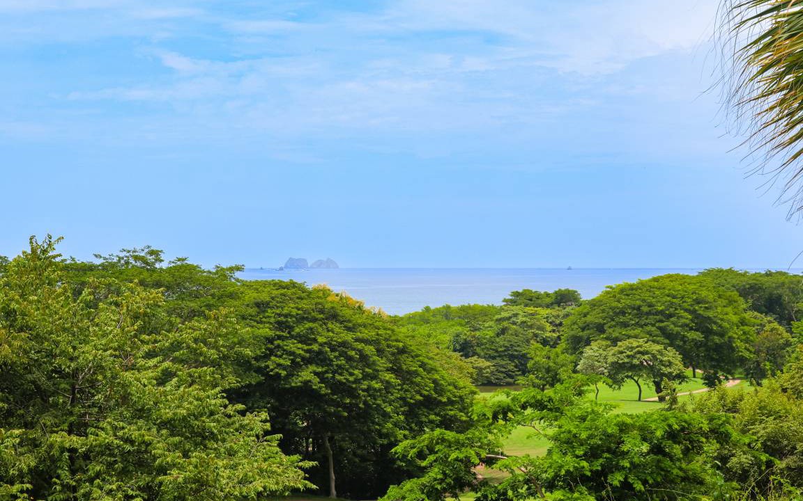 Photo of Others in Brasilito
