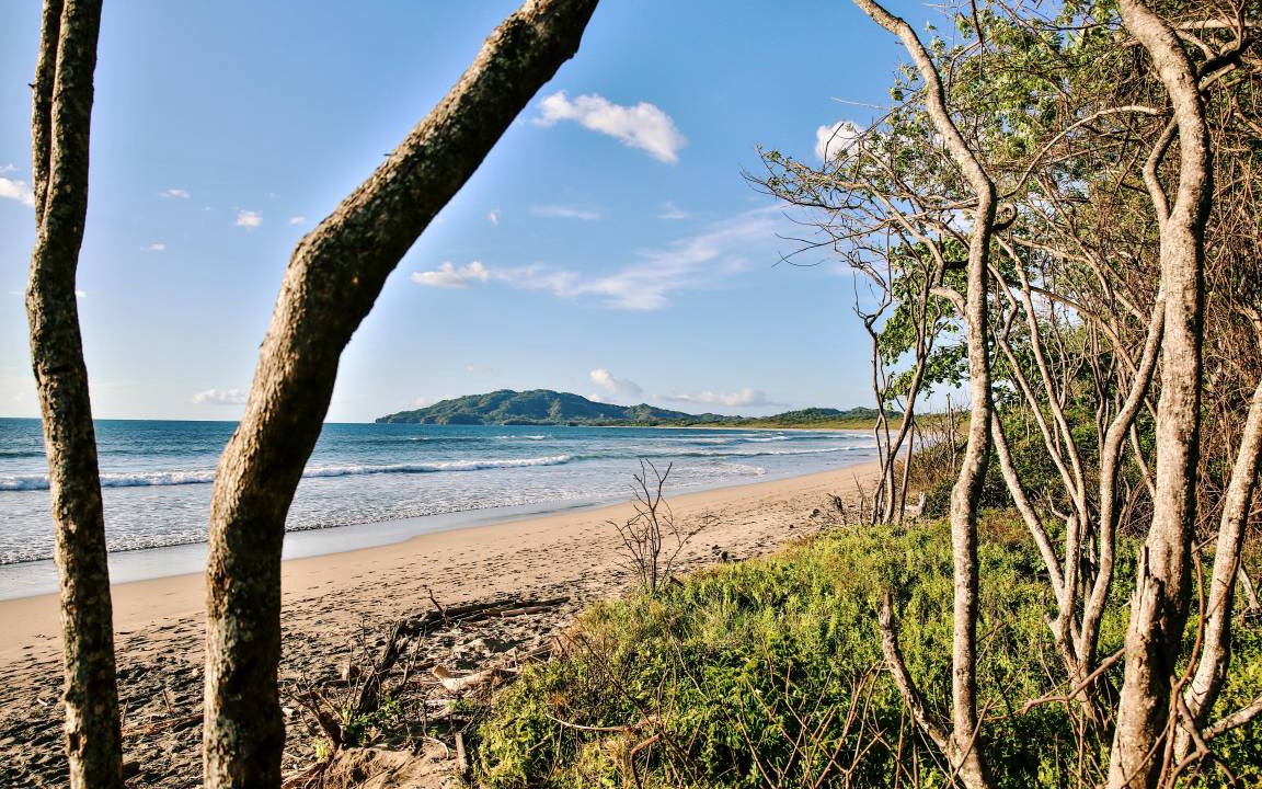 Photo of Others in Playa Grande