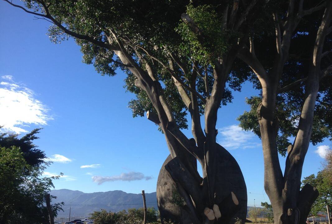 Photo of Others in Rio Segundo