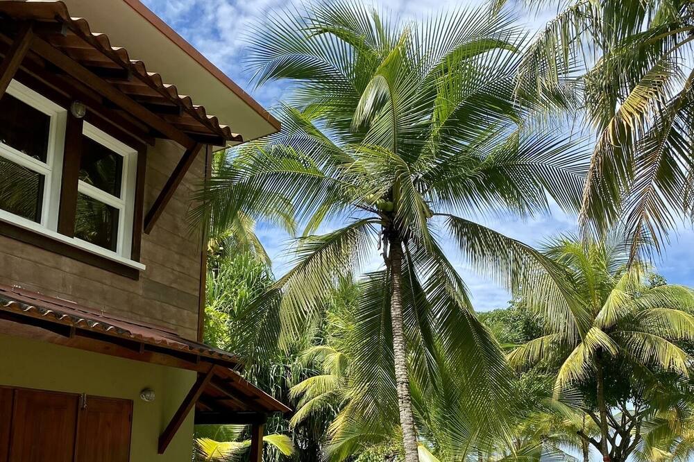 Photo of Outdoor in Javilla