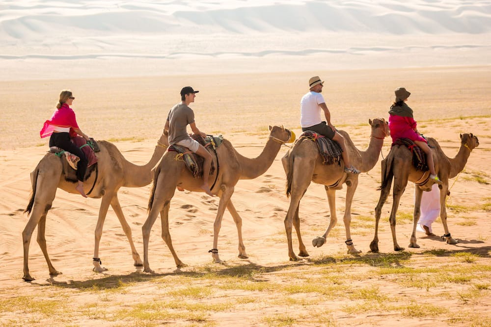 Photo of Others in Al Wasil
