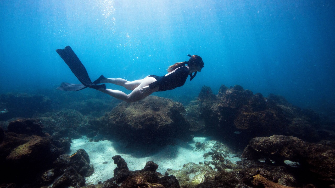 Photo of Outdoor in Drake Bay