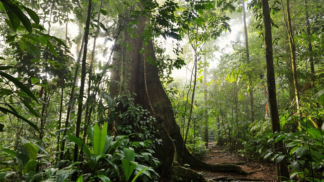 Photo of Outdoor in Drake Bay