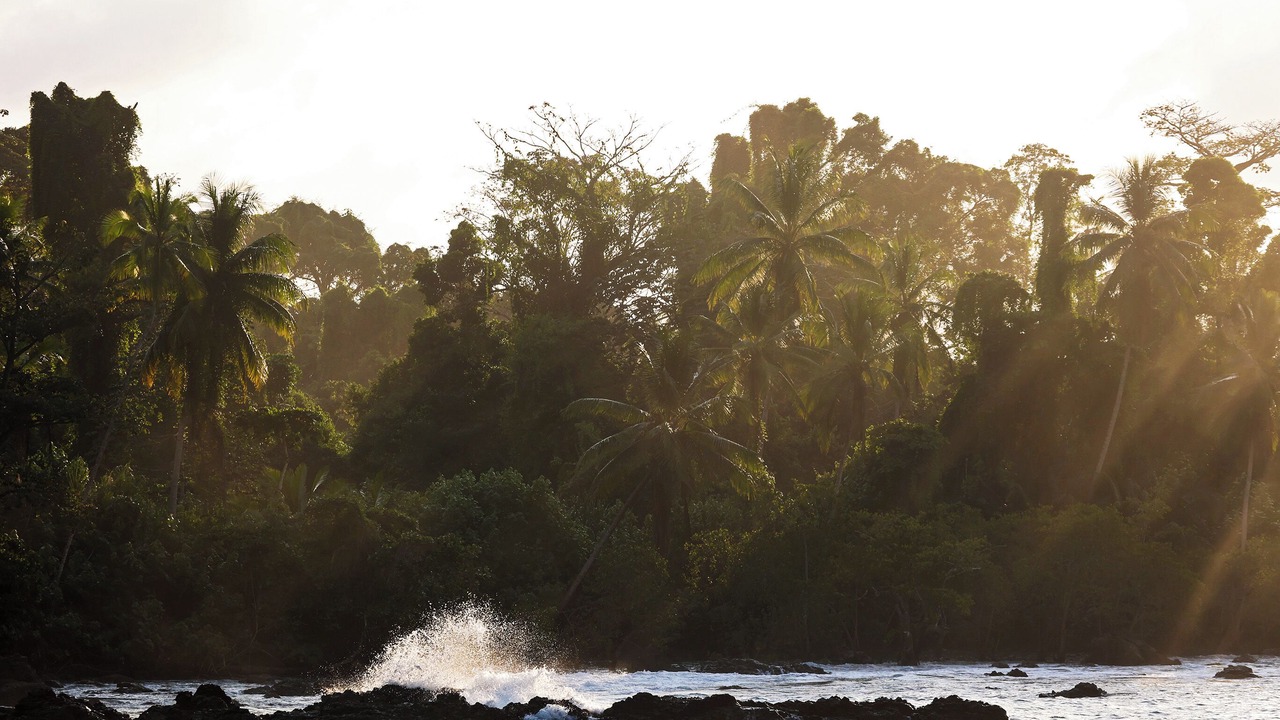 Photo of Others in Drake Bay
