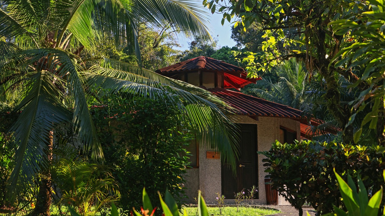 Photo of Outdoor in Drake Bay