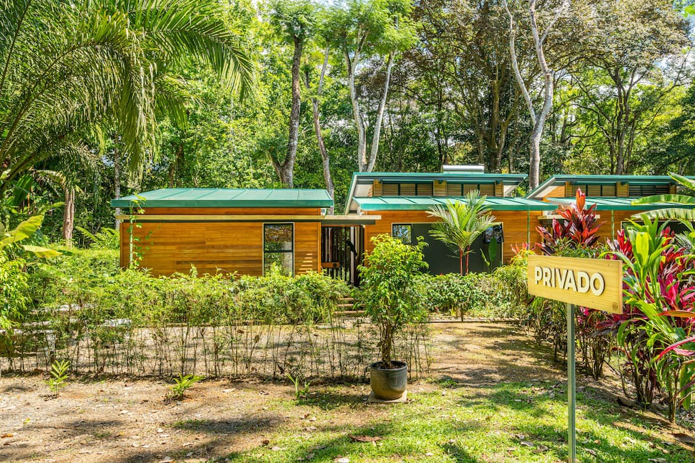 Photo of Outdoor in Ojochal