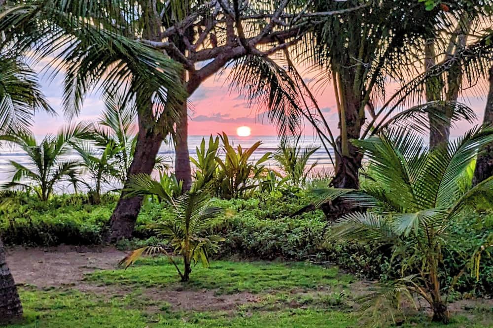 Photo of Others in Playa Coyote