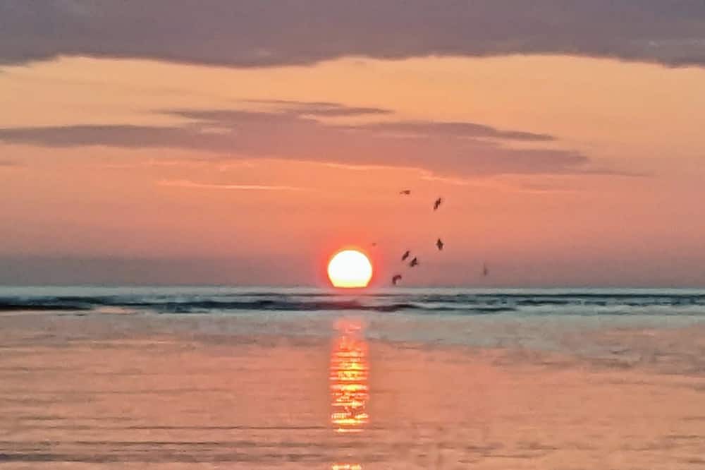 Photo of Others in Playa Coyote