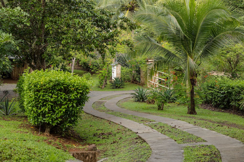 Photo of Outdoor in Playa Coyote