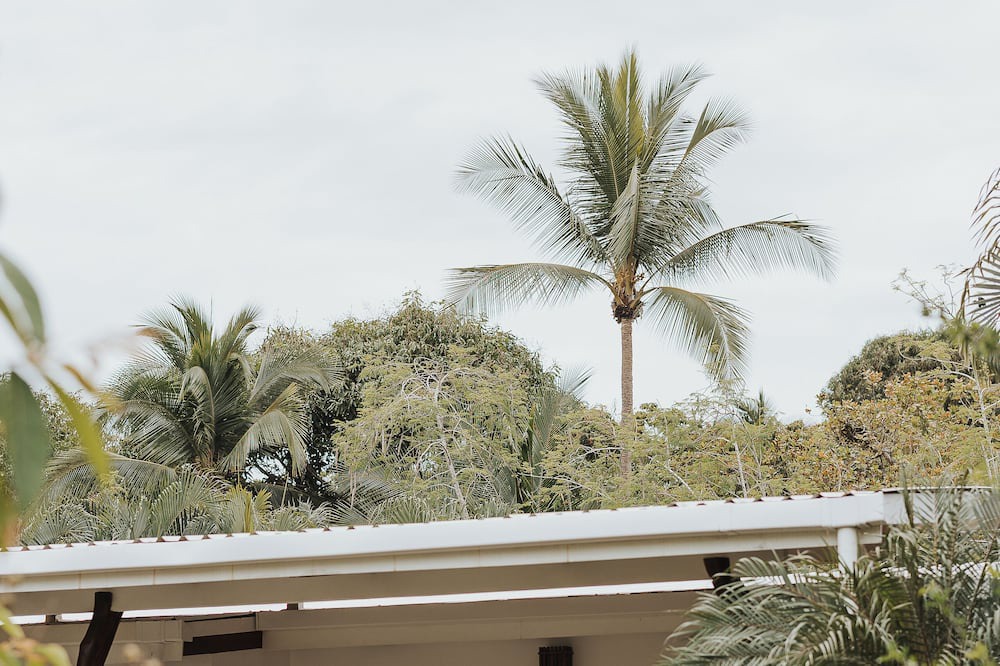 Photo of Patio Balcony in Playa Coyote