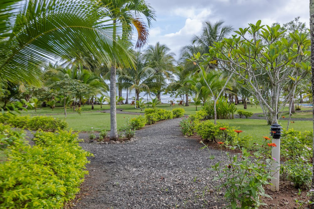 Photo of Outdoor in Playa Coyote