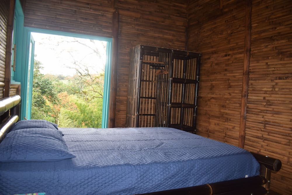 Photo of Bedroom in Turrialba