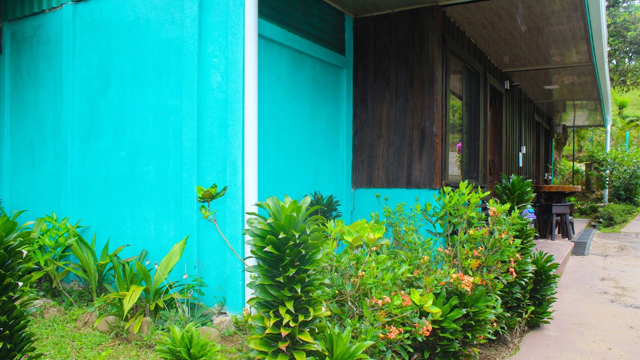 Photo of Bedroom in Katira
