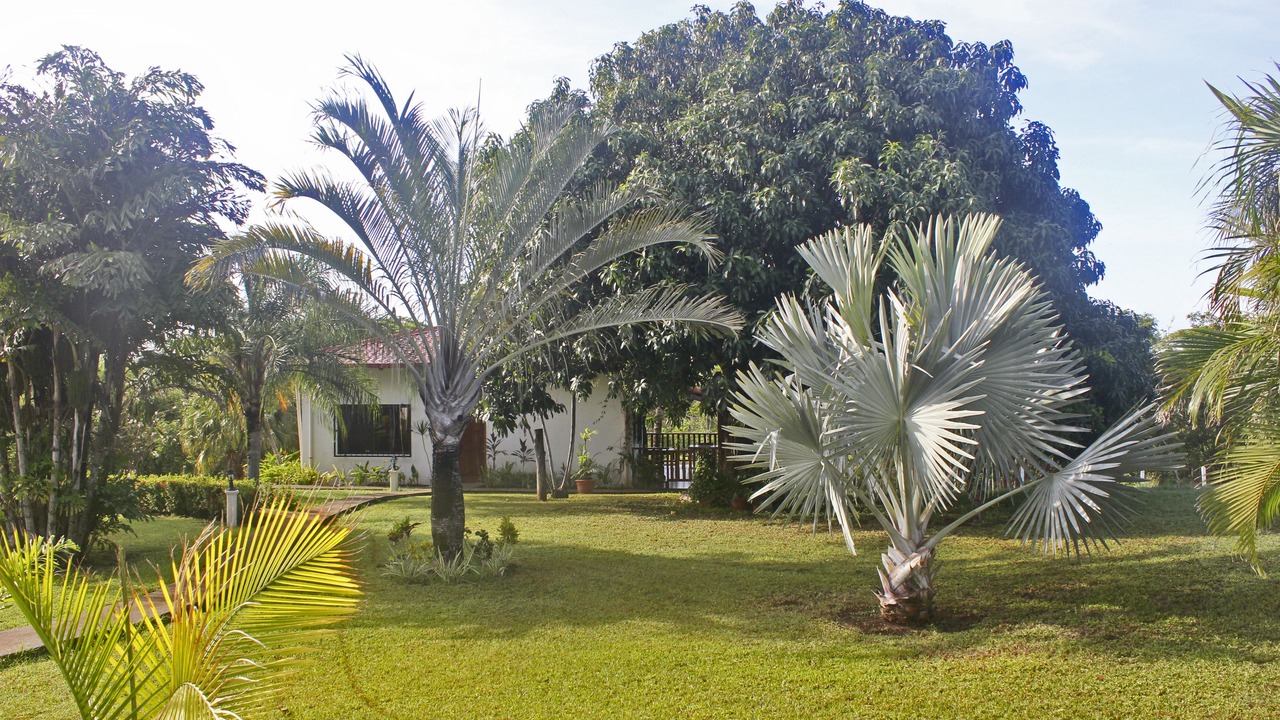Photo of Outdoor in Junquillal