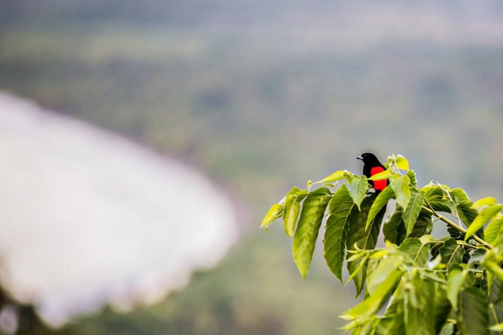 Photo of Outdoor in Quepos