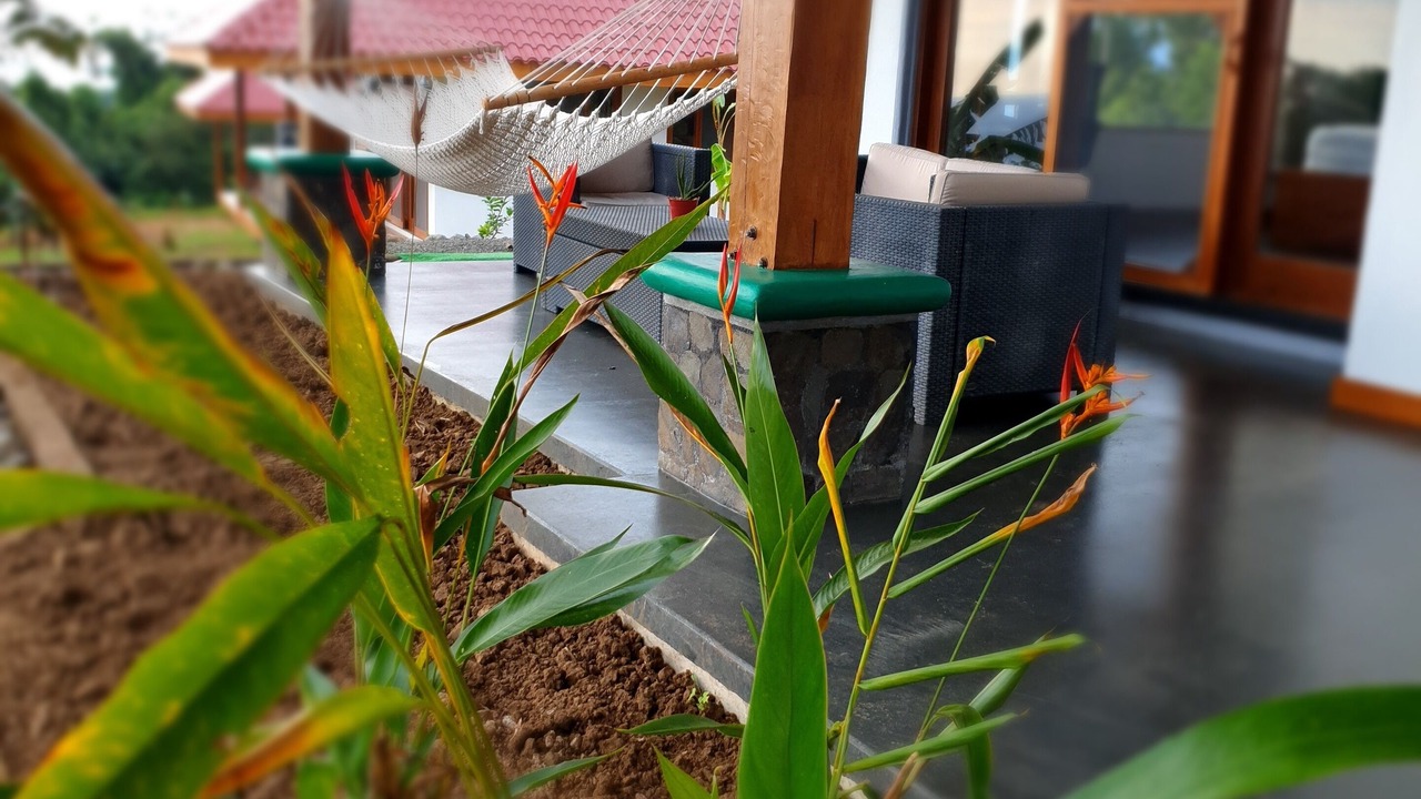 Photo of Outdoor in Javilla