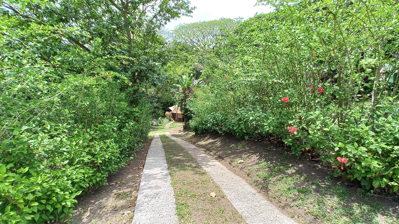 Photo of Outdoor in Tilaran
