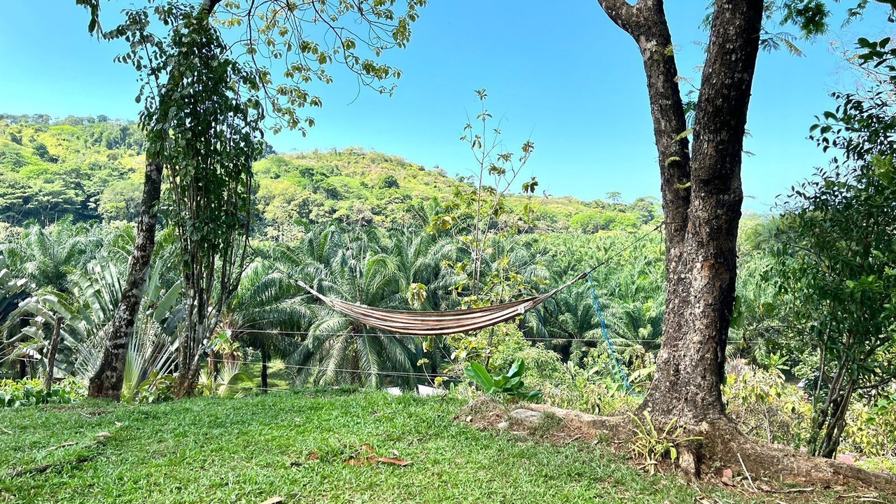 Photo of Outdoor in Savegre
