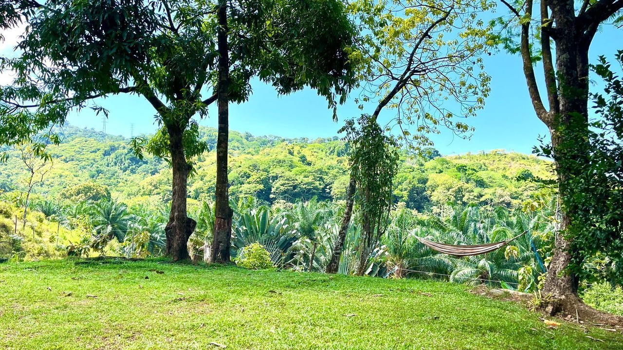 Photo of Outdoor in Savegre