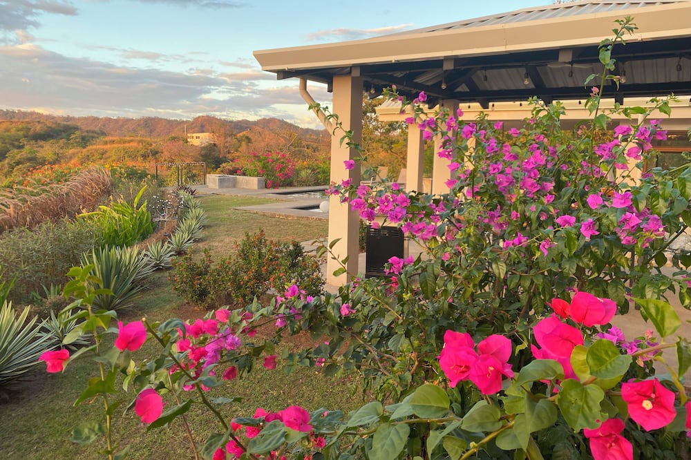 Photo of Patio Balcony in Las Catalinas