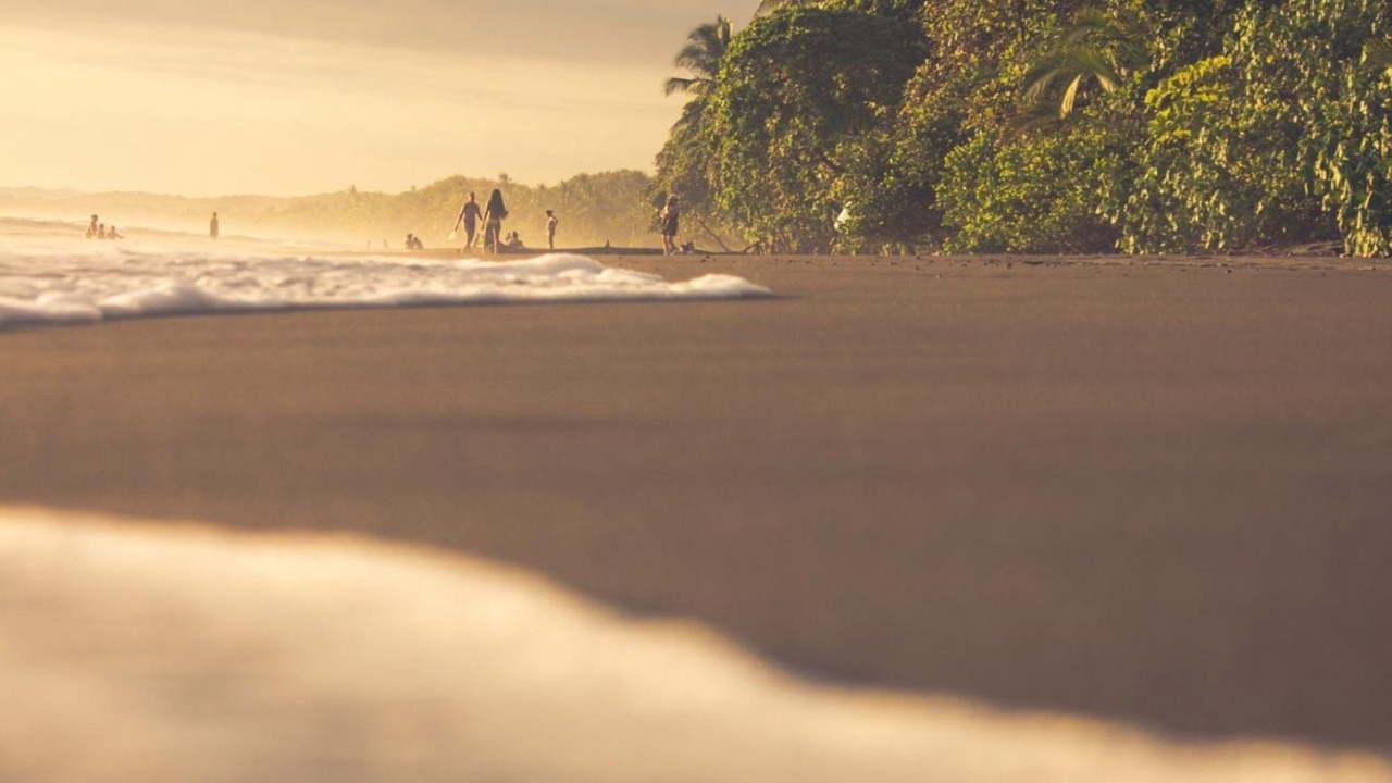Photo of Others in Dominical