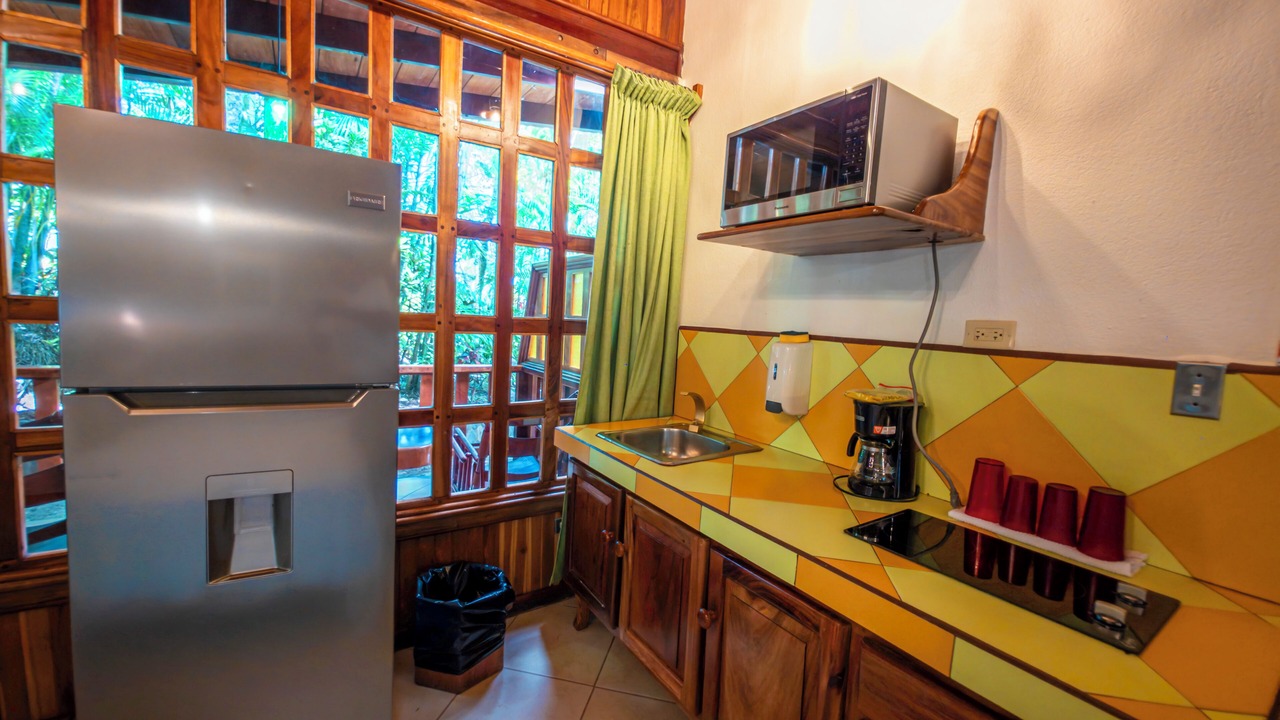Photo of Outdoor in Manuel Antonio